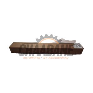 Bande decorative 51317434873 BMW X7 xDrive M60i Mild Hybrid 4.4 V8 32V 2019