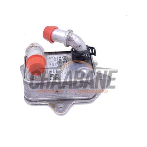 Radiateur dhuile 8W0317021C Audi RS 6 Avant (C8) 4.0 V8 TFSI Mild Hybrid 32V 2019