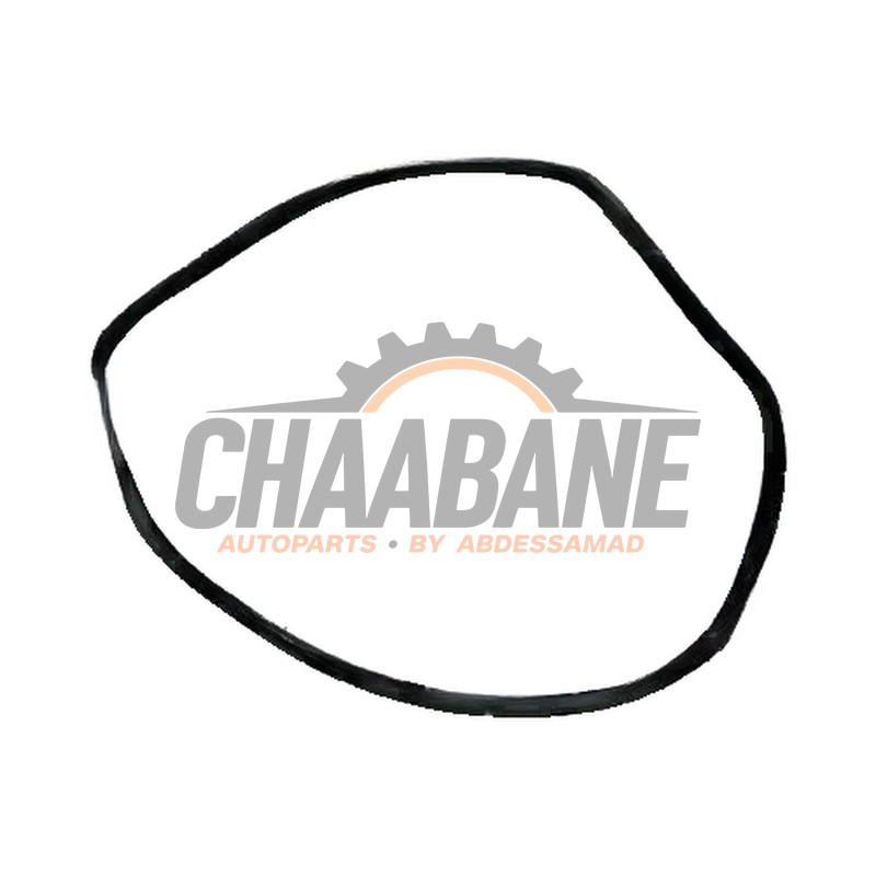 Joint caoutchouc portiere 4portes arriere gauche 7289689 BMW X5 2013 / 2018
