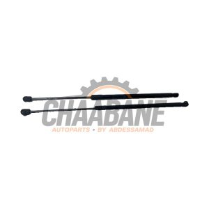 Verin de coffre 5124745604204 BMW 1-Serie 2019