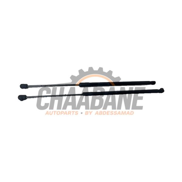 Amortisseur a gaz arriere droit 5124745604204 BMW 1-Serie 2019