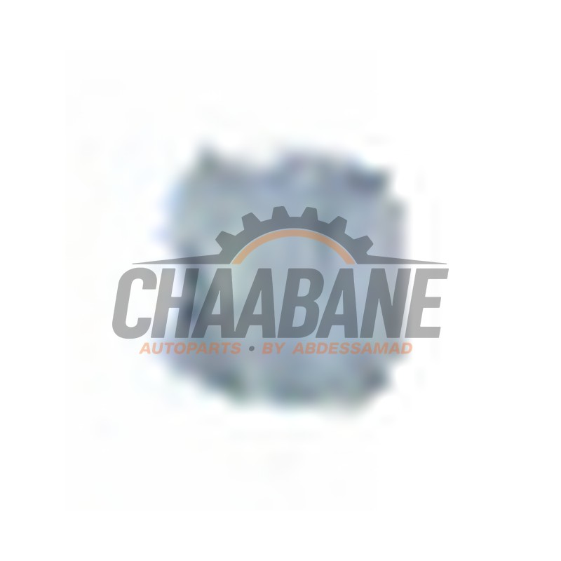 Eclairage dembarquement 51479870754 BMW i7 (G70) eDrive50 106 kWh 2022