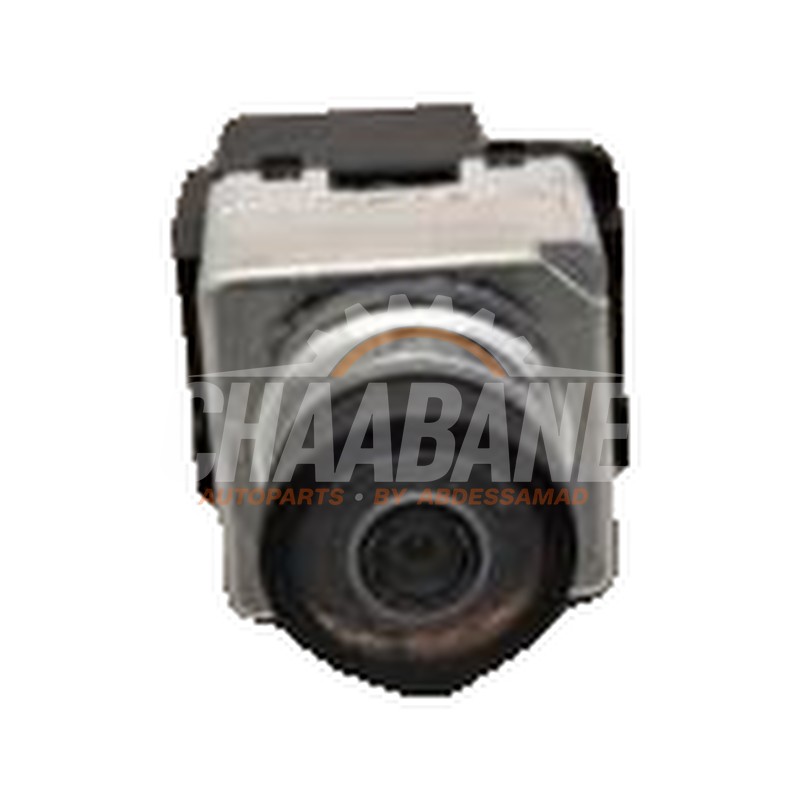 Camera de recul 4N0980546A Audi A6 (C8) 2018