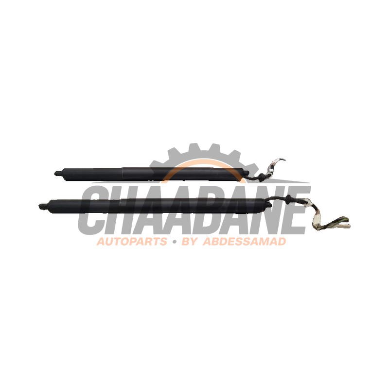 Kit amortisseur couvercle coffre 9482800 BMW X5 (G05) xDrive 45 e iPerformance 3.0 24V 2018