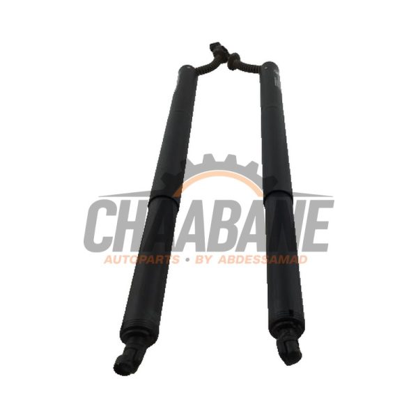 Coffre moteur BMW 2-Serie 2014