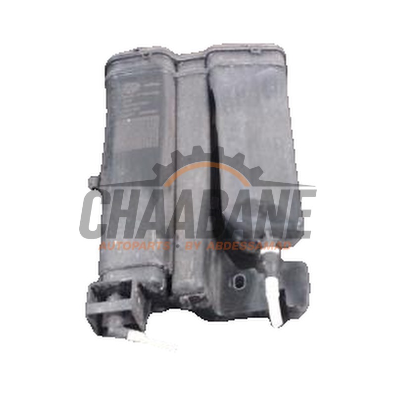 Filtre carbone 2Q0201801 Seat Ibiza V (KJB) 1.0 TSI 12V 2017