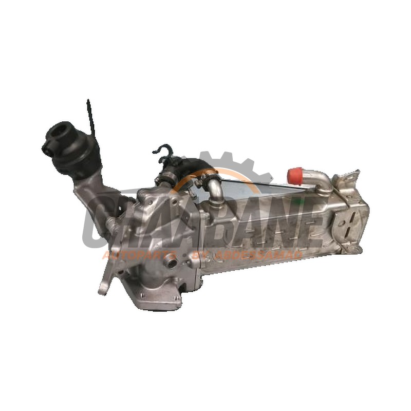 Refroidisseur RGE A6511400075 Mercedes C-Klasse