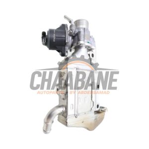 Valve RGE A6541400460 Mercedes E (C238) E-220d 2.0 Turbo 16V 4-Matic