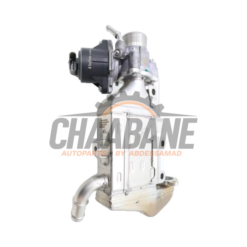 Valve RGE A6541400460 Mercedes E (C238) E-220d 2.0 Turbo 16V 4-Matic