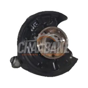 Fusee arriere gauche A2463503541 Mercedes A (W176) 2.2 A-220 d 16V