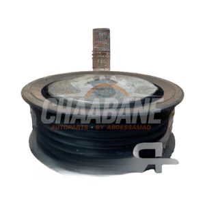 Guidage courroie multiple CPLA19A216EB Landrover Range Rover IV (LG) 3.0 V6 Supercharged