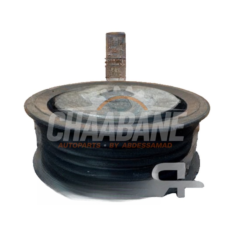 Guidage courroie multiple CPLA19A216EB Landrover Range Rover IV (LG) 3.0 V6 Supercharged