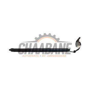 Verin de coffre HK8370354AJ Jaguar F-Pace 2.0 Turbo 16V AWD