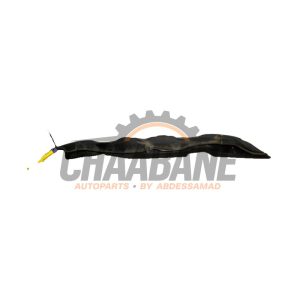 Moulure intermediaire avant 2G0806239D Volkswagen Polo VI (AW1) 1.0 TSI 12V 2017