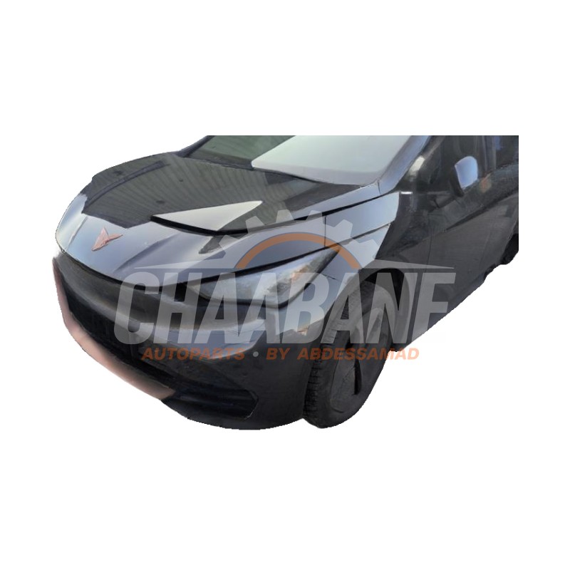 Face avant 10A807109D Cupra Born 58 2021