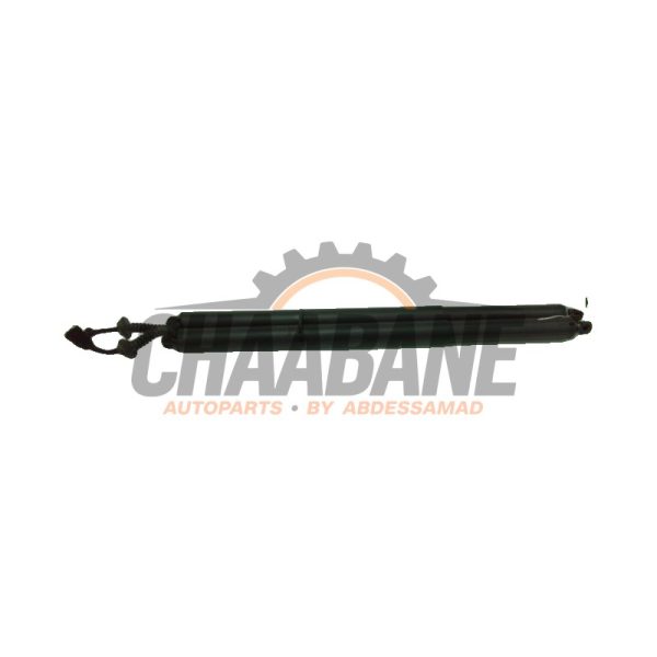 Kit amortisseur gaz hayon 51247365979 BMW 2 serie Gran Tourer (F46) 218d 2.0 TwinPower Turbo 16V 2014