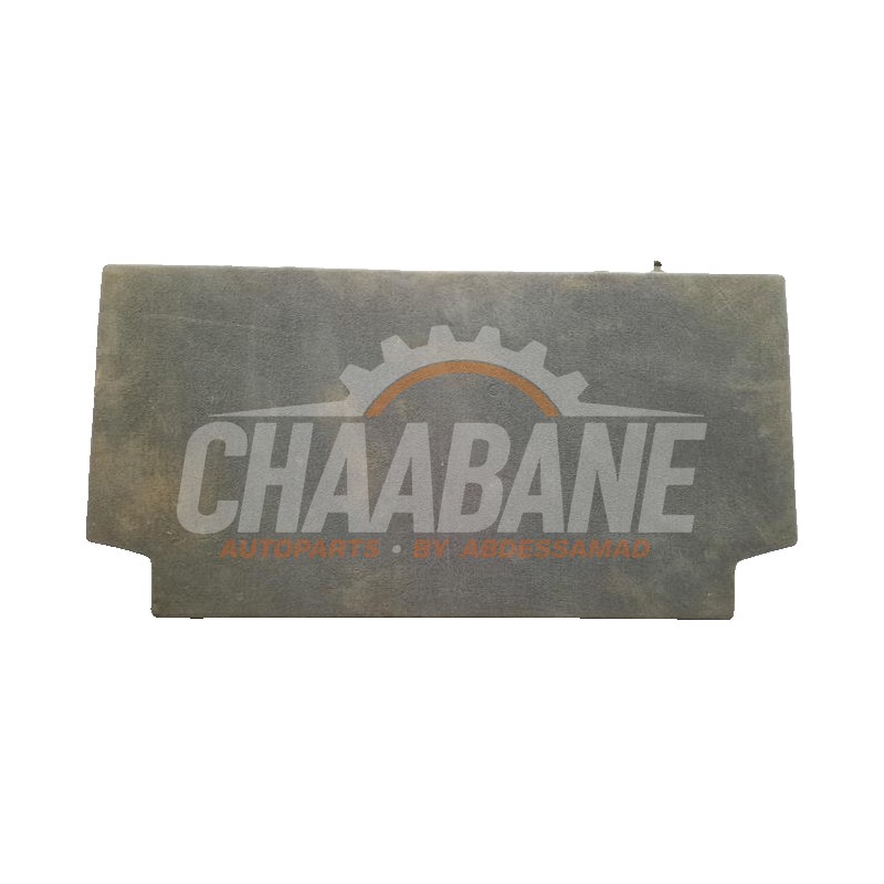 Tapis de coffre 51475A0B6C1 BMW X5 (G05) xDrive 45 e iPerformance 3.0 24V 2018