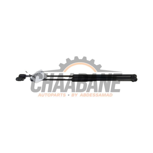 Verin de coffre 5JJ827550D Skoda Rapid 1.2 TSI 2012 / 2022