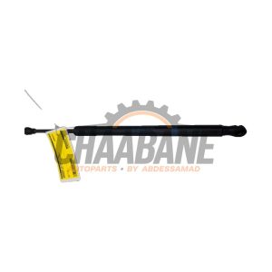 Amortisseur capot moteur gauche 1679800164 Mercedes GLE (V167) 350 e 2.0 16V 4-Matic
