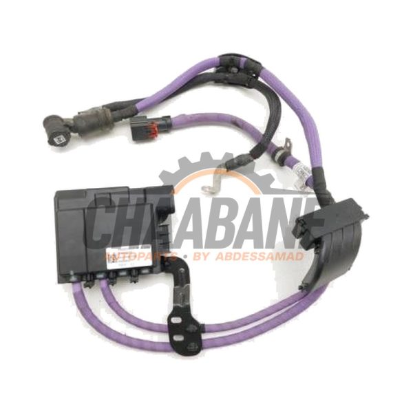 Cable (divers) 61125A32FC9 BMW 3 serie Touring (G21) 320d 2.0 TwinPower Turbo 16V Mild Hybrid 2019