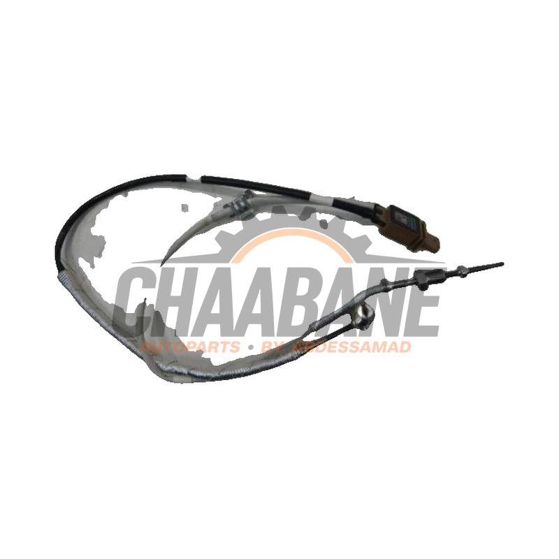 Capteur de temperature exterieur 06Q919519R Audi S3 Sportback (8YA) 2020