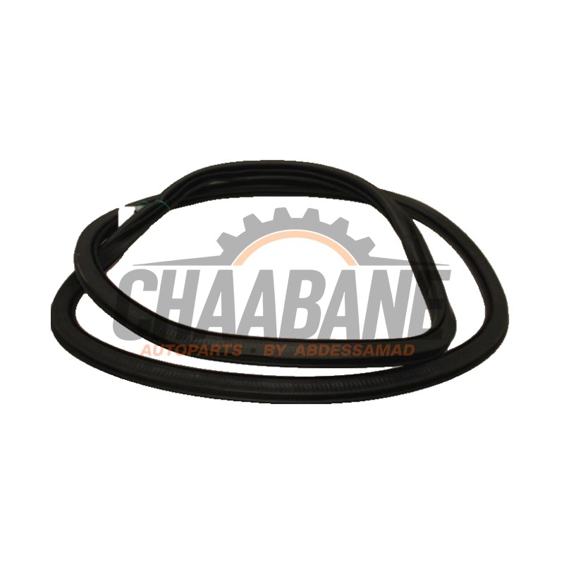 Joint caoutchouc portiere 4portes arriere gauche 6F0867367D Seat Ibiza V (KJB) 1.6 TDI 95 2017