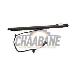 Amortisseur a gaz arriere droit A2478902600 Mercedes GLB (247.6) 2.0 GLB-200d