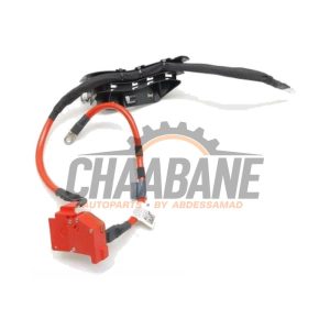 Cable (divers) 10304410 BMW 3 serie Touring (G21) 320d 2.0 TwinPower Turbo 16V Mild Hybrid 2019