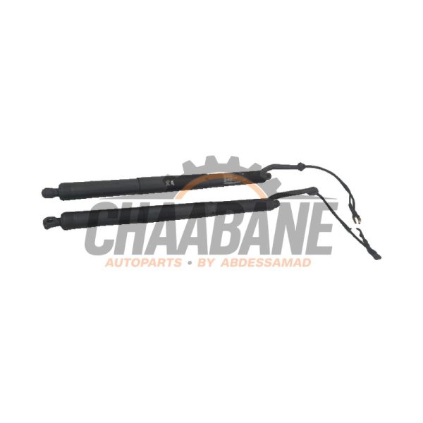 Kit amortisseur couvercle coffre 7449810 BMW X5M (F85) 4.4i V8 Turbo 32V 2014 / 2018