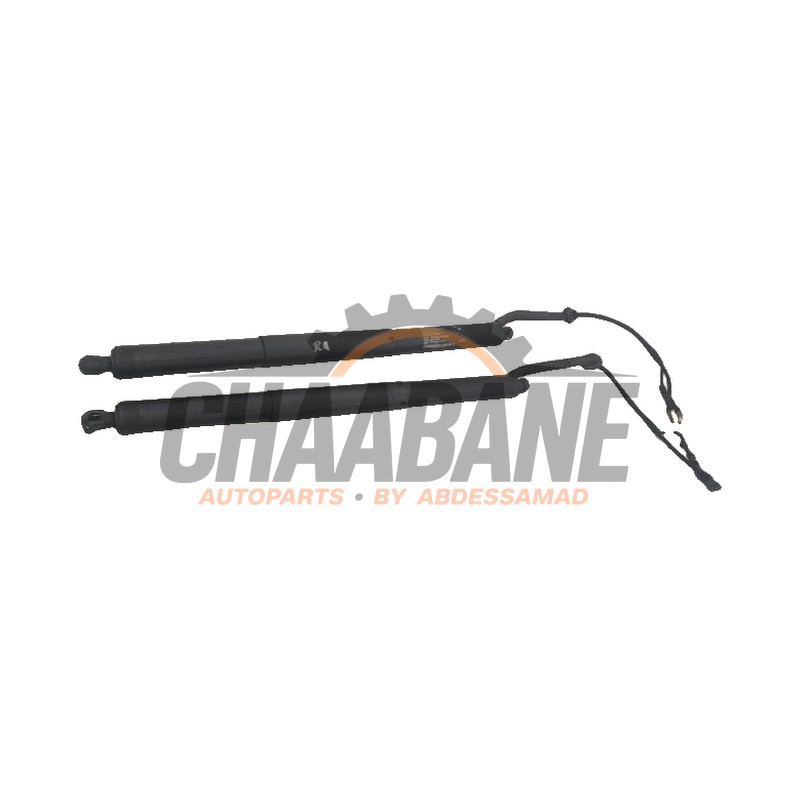 Kit amortisseur couvercle coffre 7449810 BMW X5M (F85) 4.4i V8 Turbo 32V 2014 / 2018