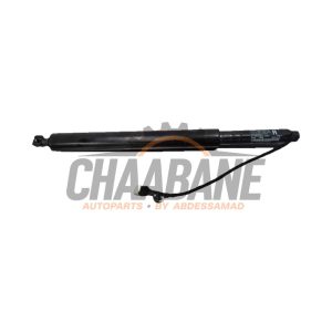 Hayon moteur 51247954153 BMW iX (I20) xDrive40 77 kWh 2021