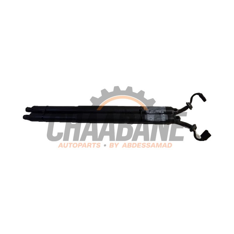 Kit amortisseur gaz hayon 2696593 BMW X1 2014 / 2022