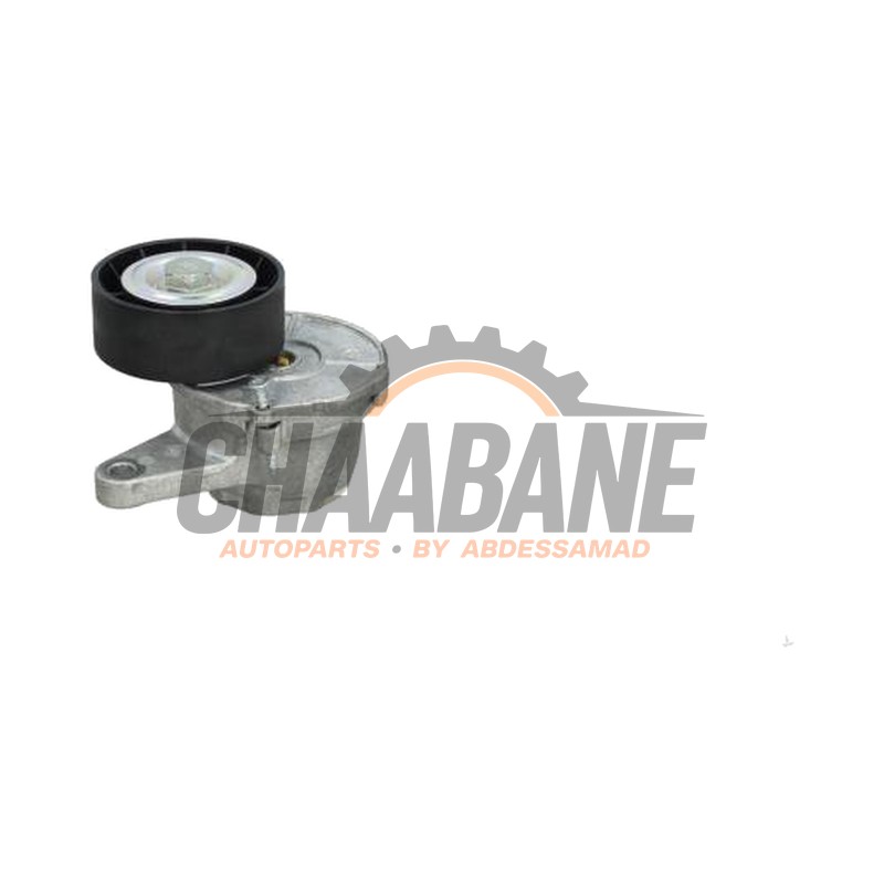 Rouleau tendeur courroie trapezoidale multiple 04L903315N Volkswagen Tiguan 2023