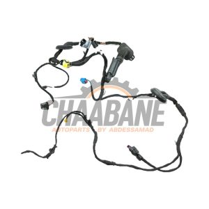 Faisceau de cables 80A971030AA Audi Q5 (FYB/FYG) 3.0 TDI V6 24V Quattro 2016
