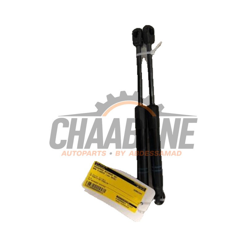 Amortisseur kit capot moteur 5123723923306 BMW 3 serie Touring (F31) 318i 1.5 TwinPower Turbo 12V 2012 / 2019