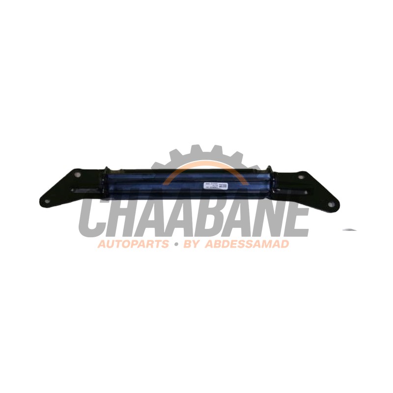 Amortisseur de vibrations 51247468022 BMW X3 (G01) 2017