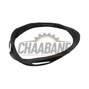 Joint caoutchouc portiere 4portes arriere droite 575867368N Seat Ateca 2016