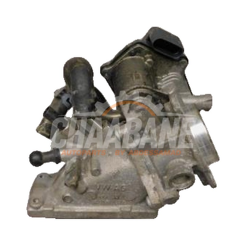 Valve RGE 04L128063T Audi A3 Sportback (8VA/8VF) 1.6 TDI Ultra 16V 2012 / 2020