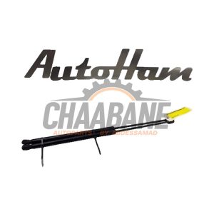 Kit amortisseur gaz hayon 5F9827550B Seat Leon ST (5FF) 1.6 TDI Ecomotive 16V 2012 / 2020