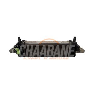 Echangeur air (Intercooler) 17518582879 BMW X3 (G01) xDrive 20d 2.0 TwinPower Turbo 16V 2017