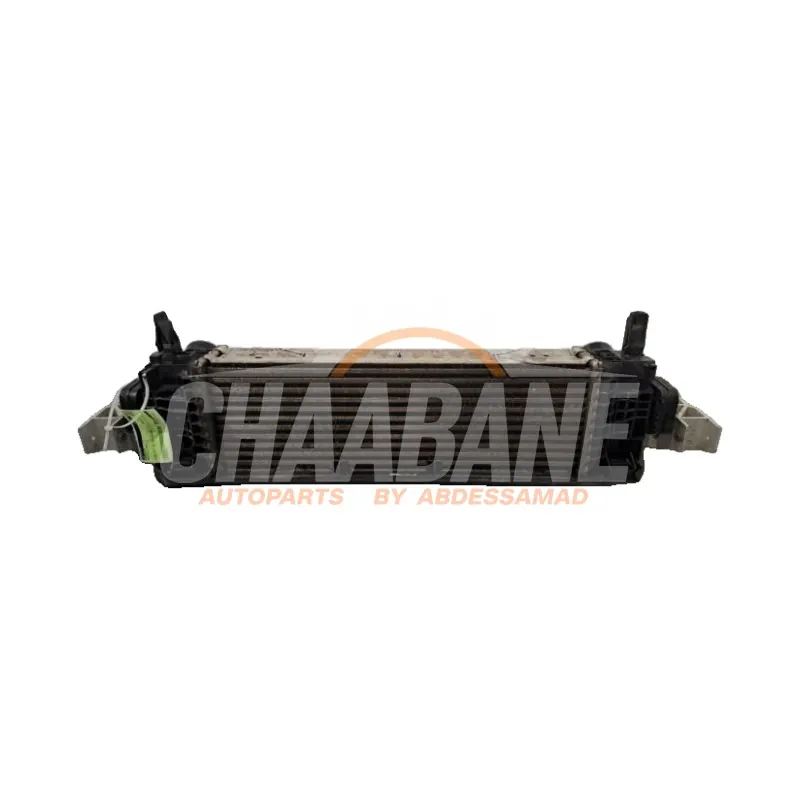 Intercooler 17518582879 BMW X3 (G01) xDrive 20d 2.0 TwinPower Turbo 16V 2017