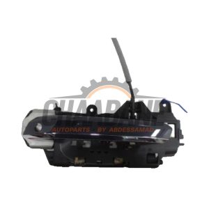 Poignee portiere 2portes gauche 8W0837811A Audi A5 2016