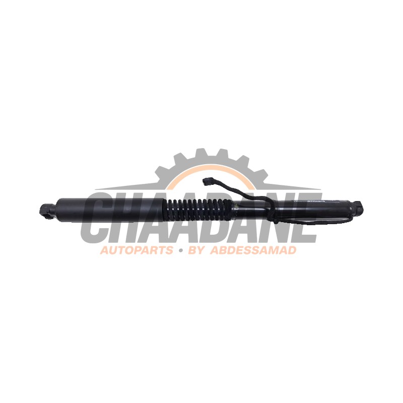Moteur fermeture auxiliaire hayon 51249482795 BMW X3 (G01) xDrive 30e 2.0 TwinPower Turbo 16V 2017