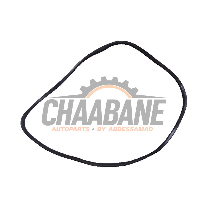 Joint caoutchouc portiere 4portes avant gauche A2136970051 Mercedes E (W213) E-350e 2.0 Turbo 16V