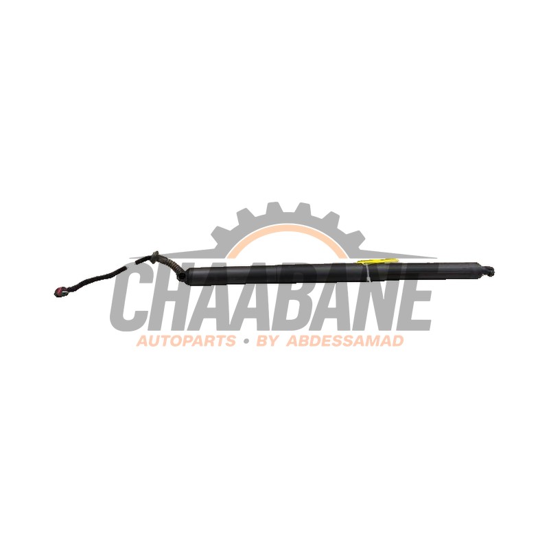 Amortisseur a gaz arriere droit 5FE827851A Seat Leon Sportstourer (KLF) 1.5 TSI 16V 2020