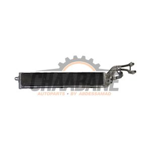 Radiateur 5WA121251J Seat Leon 2020