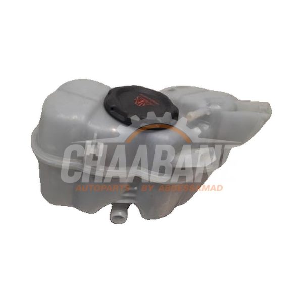 Vase dexpansion 1EA121407H Cupra Born 58 2021