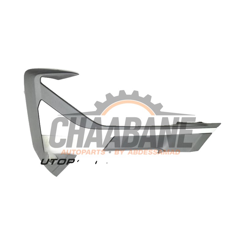 Bande decorative 51115A2D4D4 BMW X2 (F39) 2017 / 2023