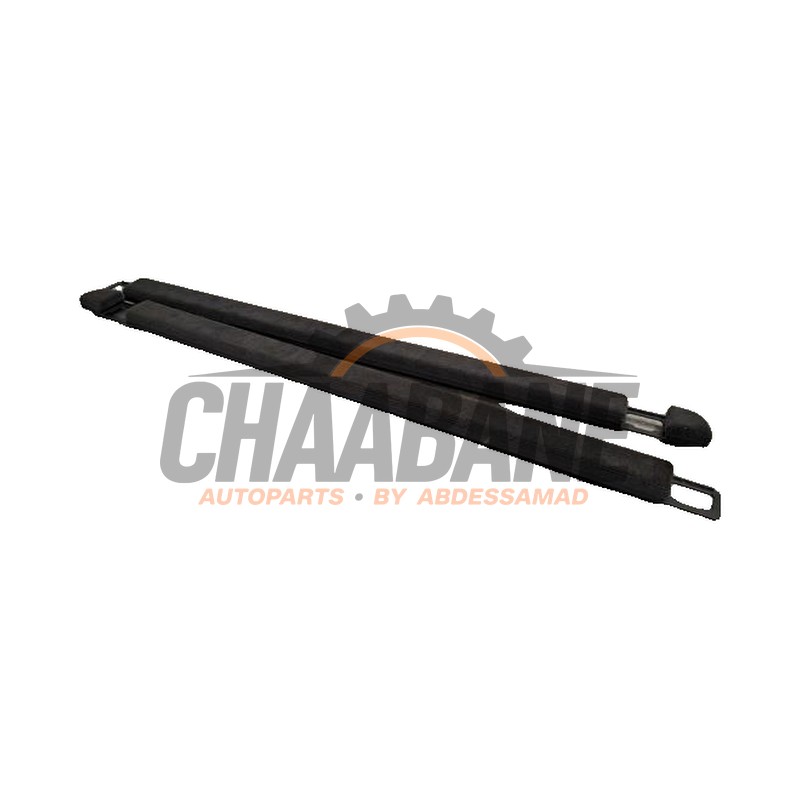 Support (divers) 4M8863528 Lamborghini Urus 4.0 V8 S, Performante 2018