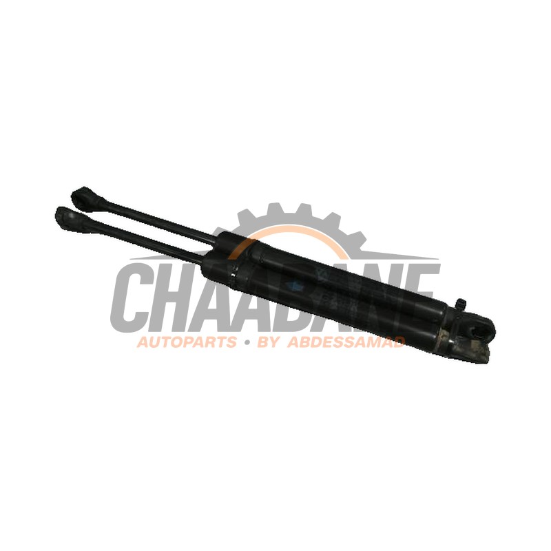 Amortisseur a gaz arriere gauche 51247497537 BMW 4-Serie 2020